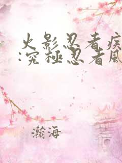 火影忍者疾风传:究极忍者风暴