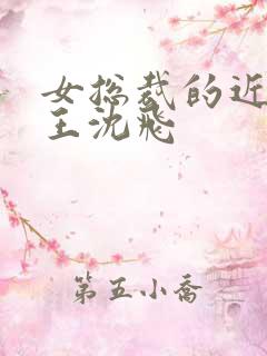 女总裁的近身兵王沈飞