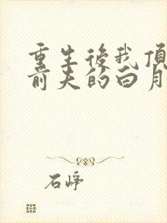 重生后我顶替了前夫的白月光