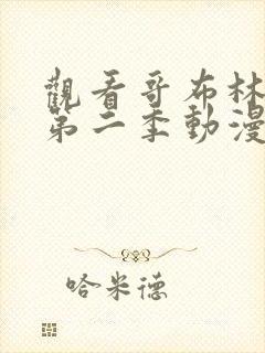 观看哥布林杀手第二季动漫