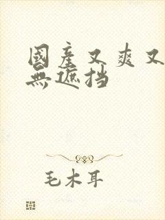 国产又爽又黄又无遮挡