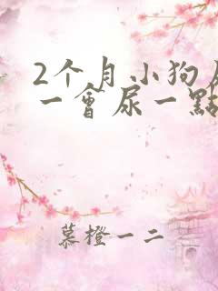 2个月小狗尿频一会尿一点