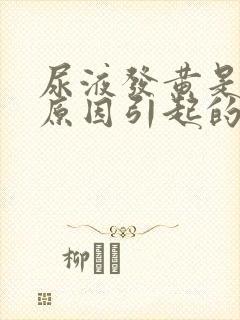 尿液发黄是什么原因引起的