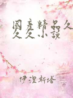 国产精品久久久久久小说