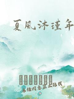 夏风沐瑾年