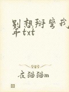 别想掰弯我林七年txt