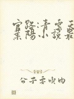 官路:青云天骄叶阳小说最新章节