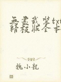 无尽武装txt精校版全本