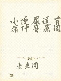 小便尿道有点刺痛什么原因