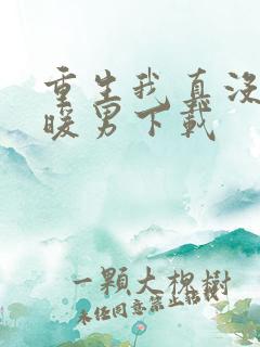 重生我真没想当暖男下载