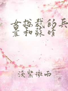 女总裁的兵王萧晨和苏晴