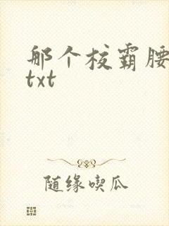 那个校霸腰好软txt