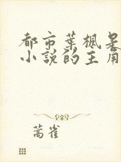 都市叶枫是哪个小说的主角