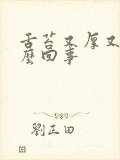 舌苔又厚又白怎么回事