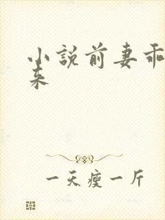 小说前妻乖乖回来