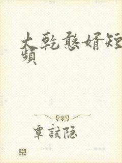 大乾憨婿短剧视频
