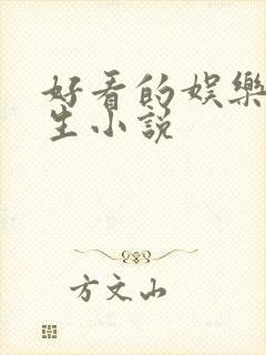 好看的娱乐圈重生小说