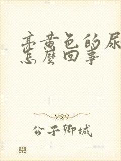 亮黄色的尿液是怎么回事