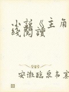 小说《主角》在线阅读