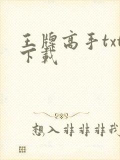 王牌高手txt下载