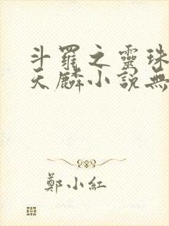 斗罗之灵珠神剑天麟小说无弹窗