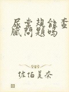 尿常规能查出肾脏问题吗