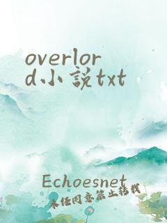 overlord小说txt