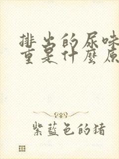 排出的尿味道很重是什么原因