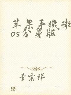 苹果手机微信ios分身版