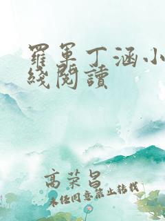 罗军丁涵小说在线阅读