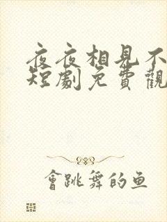 夜夜相见不识君短剧免费观看