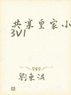 共享皇家小公主3V1