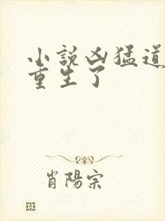 小说凶猛道侣也重生了