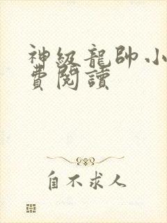 神级龙帅小说免费阅读