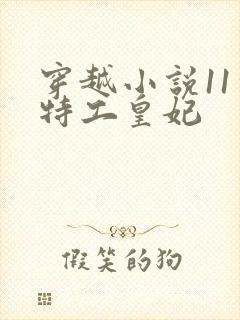 穿越小说11处特工皇妃