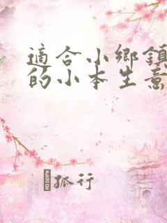 适合小乡镇投资的小本生意