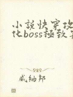 小说快穿攻略黑化boss极致宠