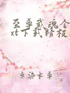 至尊武魂全本txt下载精校版