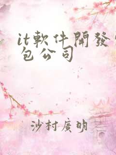 it软件开发外包公司