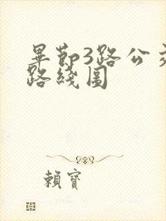 毕节3路公交车路线图