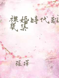 裸婚时代离婚第几集