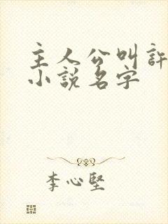 主人公叫许安的小说名字