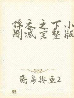 锦衣之下小说未删减完整版