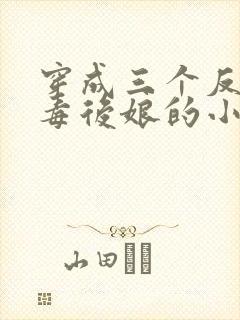 穿成三个反派恶毒后娘的小说