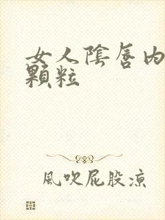 女人阴唇内长小颗粒