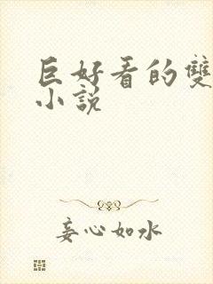 巨好看的双男主小说