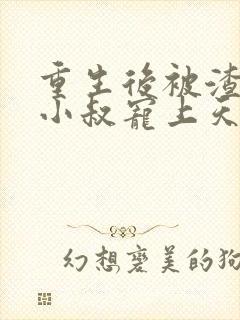 重生后被渣男他小叔宠上天短剧