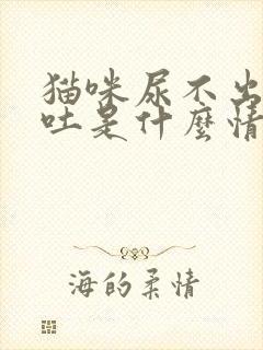 猫咪尿不出来又吐是什么情况