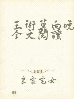 王术莫向晚小说全文阅读