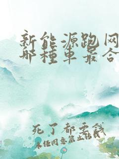 新能源跑网约车哪种车最合适